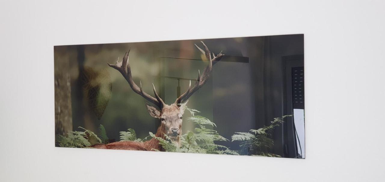 Black Forest Kuckucksnest Schönwalde Dış mekan fotoğraf