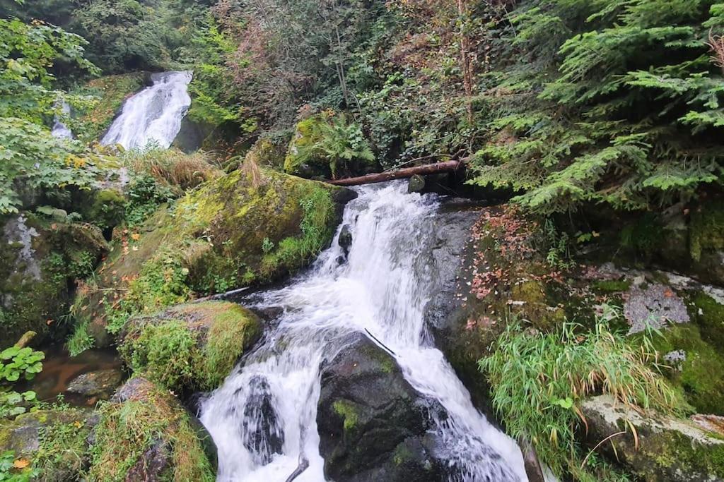 Black Forest Kuckucksnest Schönwalde Dış mekan fotoğraf